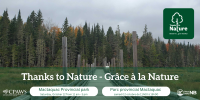 Thanks to Nature // Grâce à la Nature